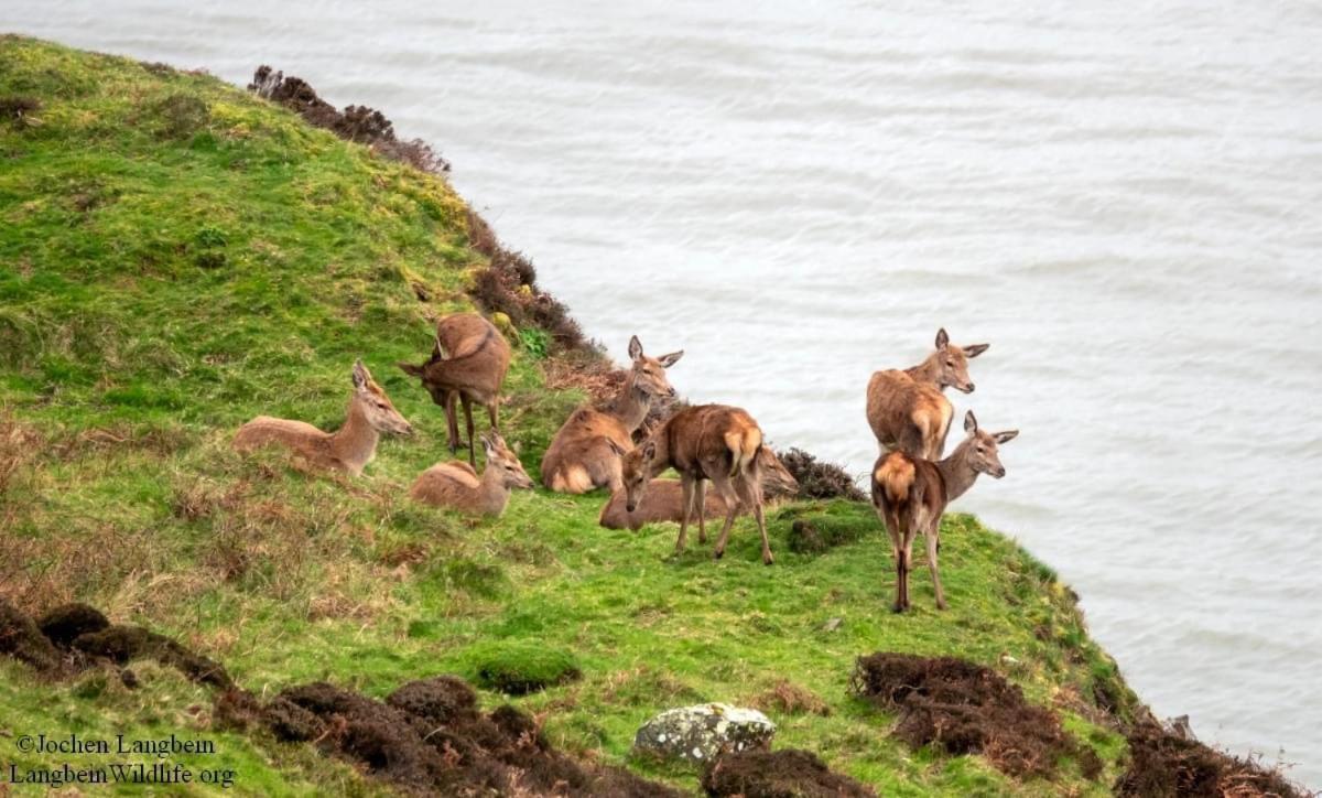 Exmoor Bnb In Withypool On Two Moors Way Esterno foto