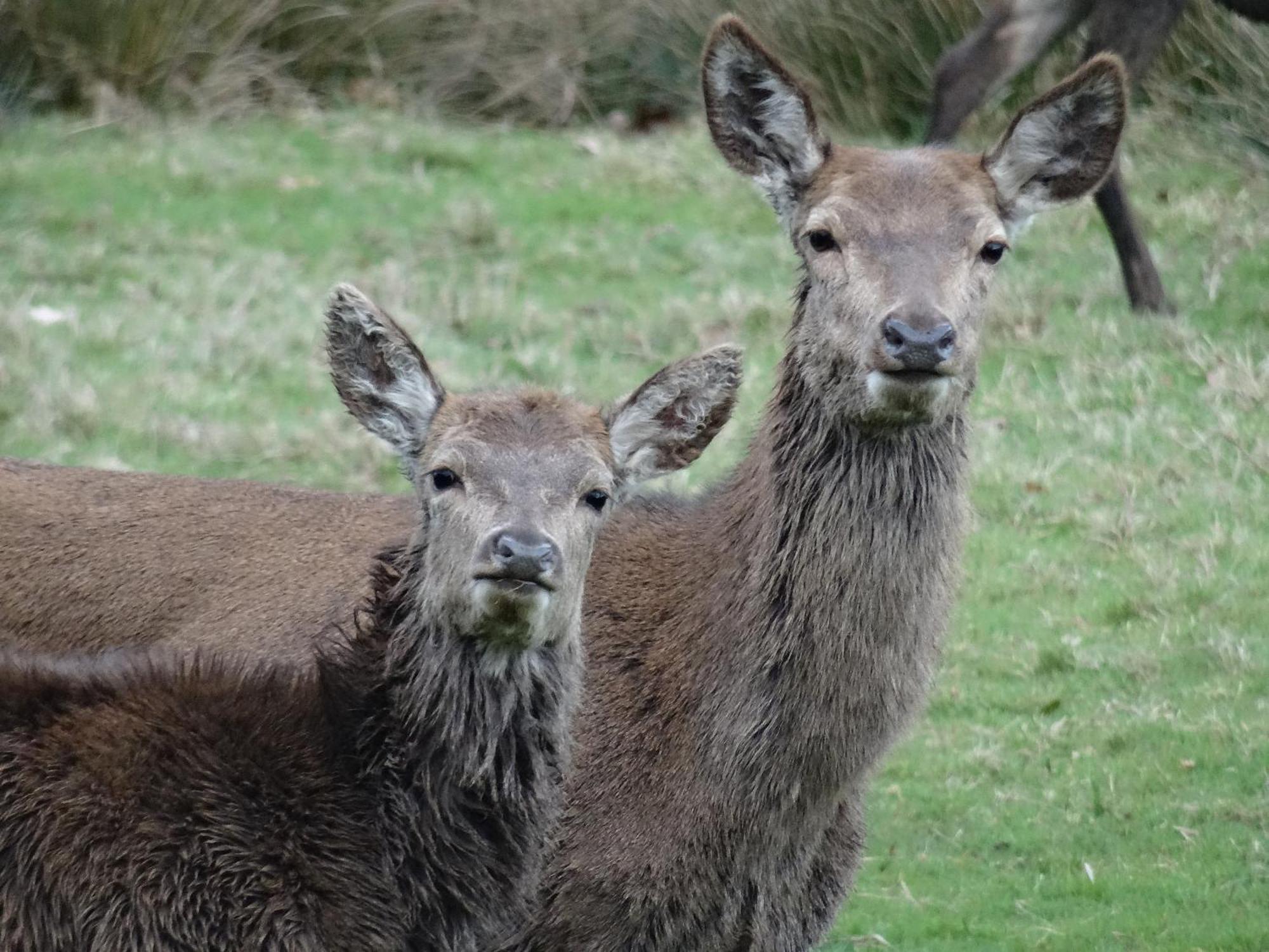Exmoor Bnb In Withypool On Two Moors Way Esterno foto