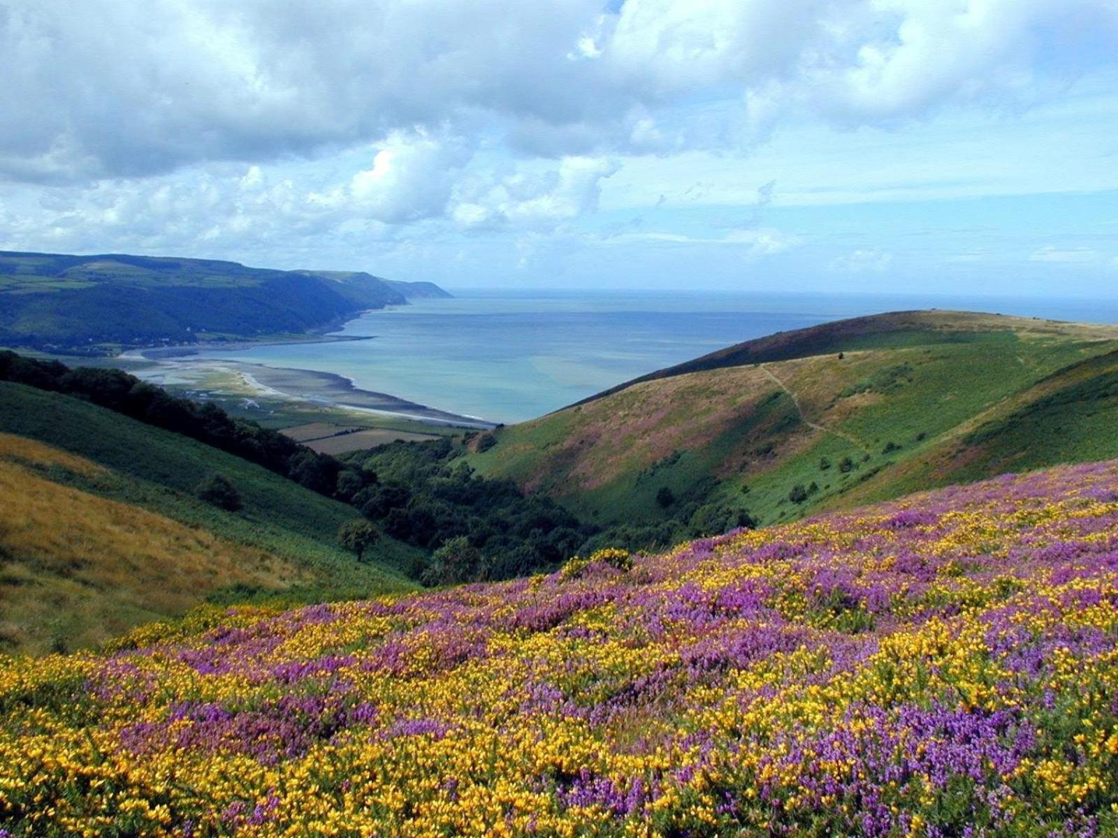 Exmoor Bnb In Withypool On Two Moors Way Esterno foto
